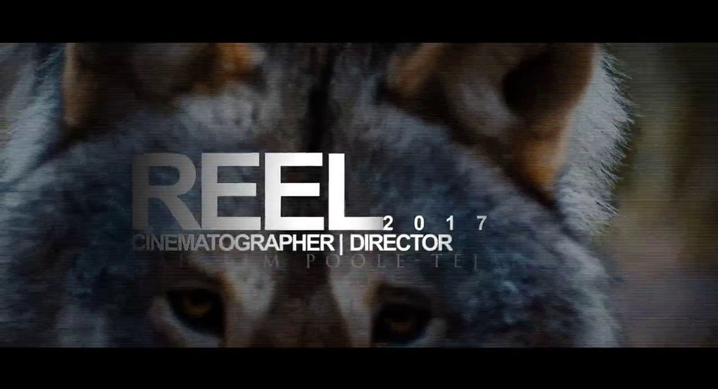 REEL 2017